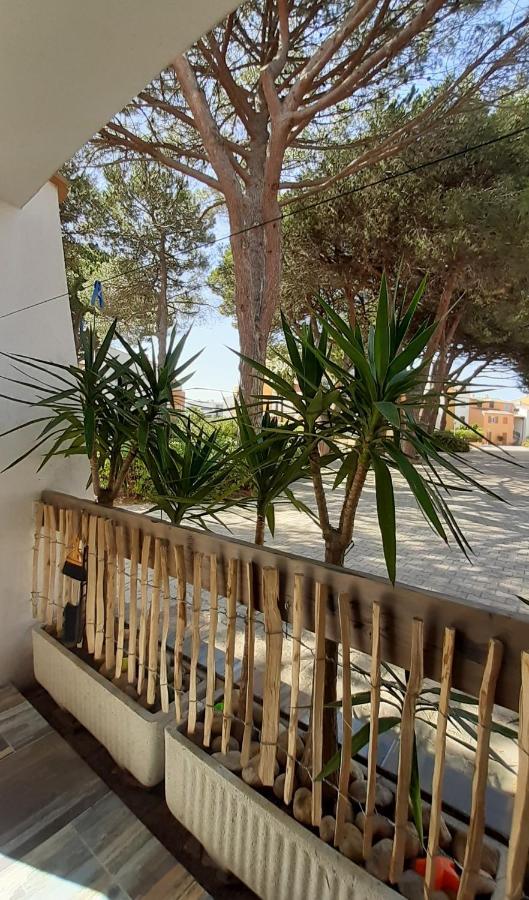 T2-3 Cabine Les Yuccas 200 M Plage Du Boucanet Rive Droite Grau Du Roi Ideal 2-4 Pers Le Grau-du-Roi Buitenkant foto